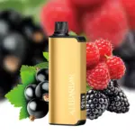 ALIBARBAR INGOT 9000 QUADRUPLE BERRY
